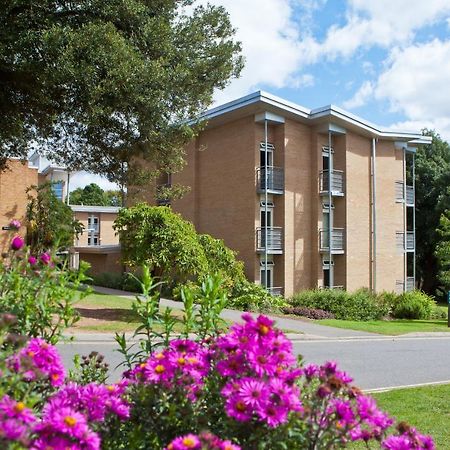 University Of Exeter - Pennsylvania Court Buitenkant foto