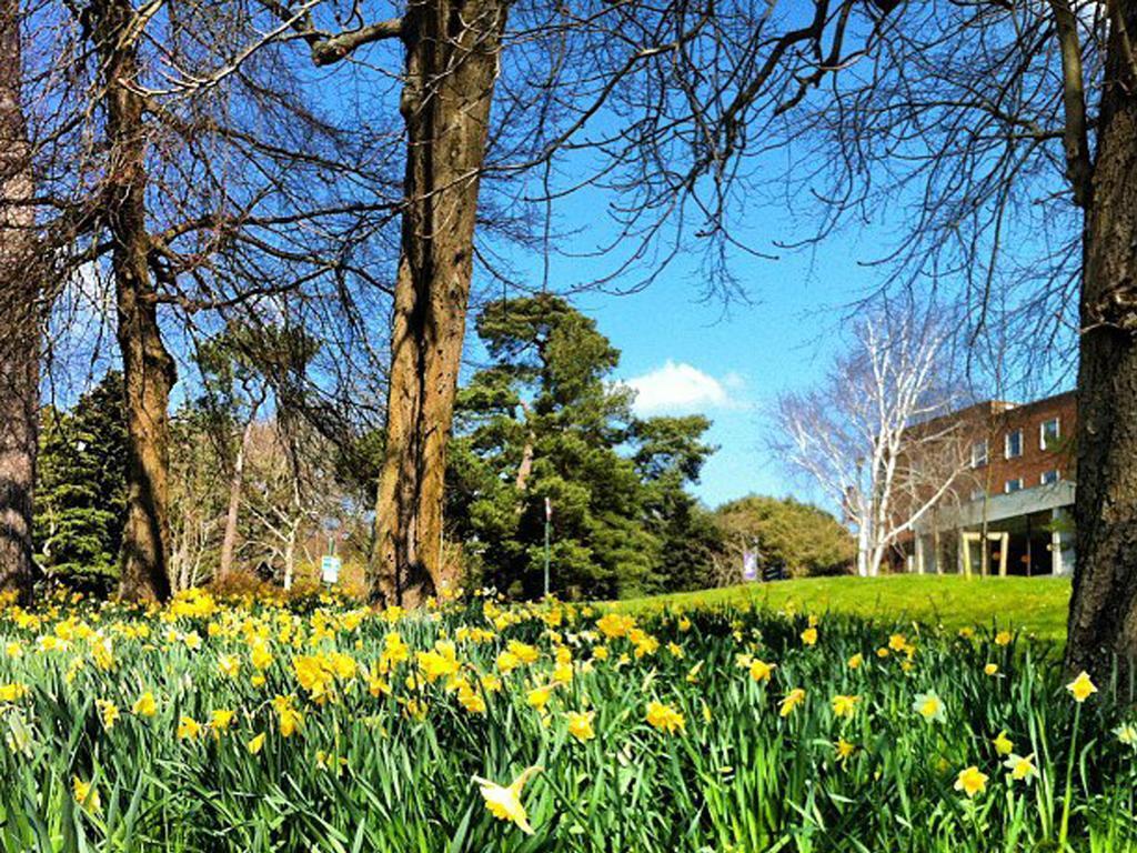 University Of Exeter - Pennsylvania Court Buitenkant foto