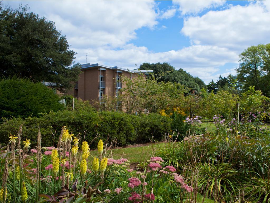 University Of Exeter - Pennsylvania Court Buitenkant foto